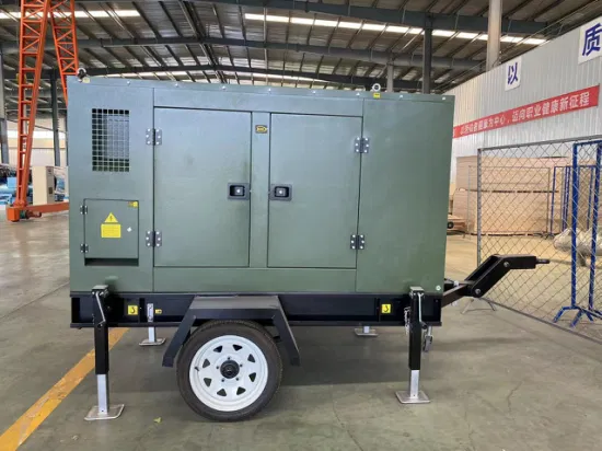 80kw 100kVA Natural Gas CNG LPG Generator Water-Cooled Super Silent Home Professional Supplier